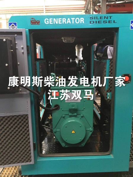 經(jīng)驗(yàn)豐富的康明斯柴油發(fā)電機(jī)廠家